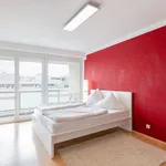 Rent 1 bedroom apartment of 65 m² in Cologne