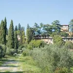 Rent 3 bedroom apartment of 65 m² in Carmignano