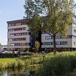 Huur 1 slaapkamer appartement in Capelle aan den IJssel