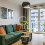 Rent 2 bedroom apartment of 40 m² in Wrocław