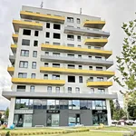 Rent 1 bedroom apartment in Brno