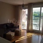 Rent 2 bedroom apartment of 55 m² in Desenzano del Garda