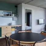 Rent 1 bedroom apartment of 64 m² in berlin