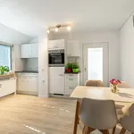 Rent 2 bedroom apartment of 43 m² in Nürnberg