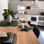 Rent 10 bedroom apartment in Porto