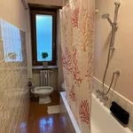 Rent 3 bedroom apartment of 96 m² in Turin