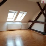 Pronajměte si 1 ložnic/e byt o rozloze 44 m² v České Budějovice