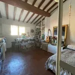 Rent 1 bedroom apartment of 25 m² in Firenze