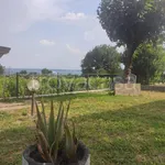 Rent 2 bedroom apartment of 60 m² in Moniga del Garda