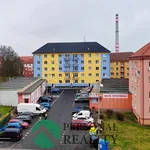 Pronajměte si 2 ložnic/e byt o rozloze 52 m² v Sokolov