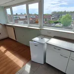 Huur 1 slaapkamer appartement van 20 m² in Tilburg