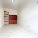 Rent 2 bedroom apartment of 58 m² in Brno