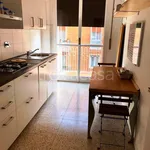 Rent 4 bedroom apartment of 100 m² in Bologna