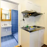 Studio o rozloze 18 m² v Prague