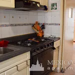 Rent 2 bedroom apartment of 90 m² in Mexico City