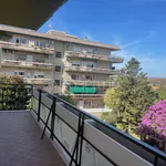 Rent 3 bedroom apartment of 60 m² in Roma