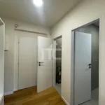 Pronájem propojených apartmánů, 66 m2, Pec pod Sněžkou