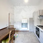 Rent 1 bedroom apartment of 58 m² in pisa