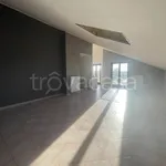 Affitto 4 camera appartamento di 80 m² in Alessandria