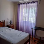 Rent 4 bedroom apartment in Lisbon