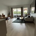 Rent 2 bedroom apartment of 57 m² in Oslo