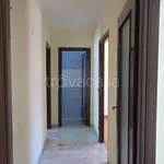 Rent 1 bedroom apartment of 85 m² in Roma