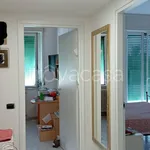 Rent 3 bedroom apartment of 110 m² in Livorno