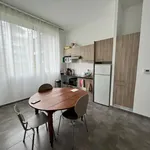 Rent 3 bedroom apartment of 59 m² in LILLE