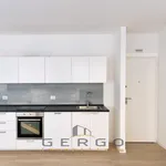 Rent 1 bedroom apartment of 60 m² in Padova