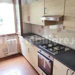 Rent 3 bedroom apartment of 85 m² in Cinisello Balsamo