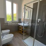 Rent 1 bedroom apartment of 45 m² in Bologna