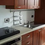 Rent 2 bedroom apartment of 55 m² in Torino