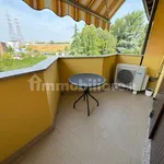 3-room flat via Piero Calamandrei 26, Centro, Cologno Monzese