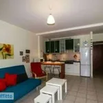 Rent 2 bedroom apartment of 56 m² in Prato