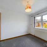 Rent 4 bedroom apartment in Belfast