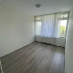 Huur 4 slaapkamer appartement van 101 m² in Leiden