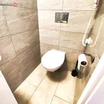 Pronajměte si 1 ložnic/e byt o rozloze 28 m² v Trhový Štěpánov