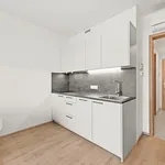 Rent 1 bedroom apartment of 33 m² in liben