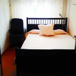 Alquilar 3 dormitorio apartamento en Madrid