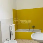 Rent 2 bedroom apartment of 70 m² in Alessandria