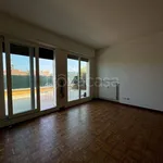 Rent 3 bedroom apartment of 90 m² in Bologna