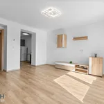 Rent 2 bedroom apartment of 61 m² in Staré Město