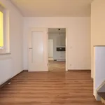 Rent 4 bedroom apartment of 120 m² in Chemnitz