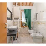 Rent 4 bedroom house of 80 m² in Ravenna