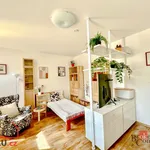 Rent 1 bedroom apartment of 31 m² in Jablonec nad Nisou