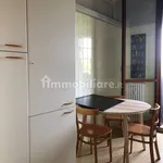 Rent 4 bedroom apartment of 110 m² in Bologna