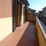 Rent 3 bedroom apartment of 100 m² in Bologna