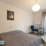 Rent 2 bedroom apartment of 55 m² in Milan