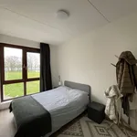 Huur 6 slaapkamer huis van 148 m² in Wesselerbrink Noord-West