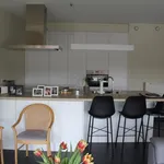 Rent 3 bedroom apartment in Hasselt